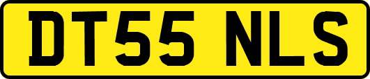 DT55NLS