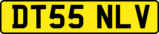 DT55NLV