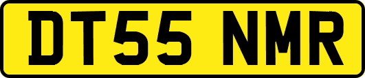 DT55NMR