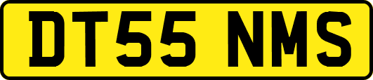 DT55NMS