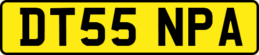 DT55NPA