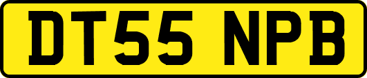 DT55NPB