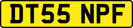 DT55NPF