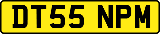 DT55NPM