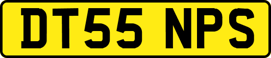 DT55NPS