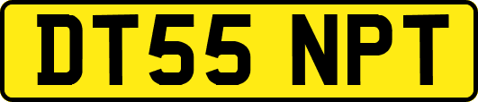 DT55NPT