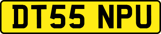 DT55NPU