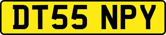 DT55NPY