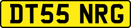 DT55NRG