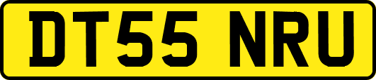 DT55NRU