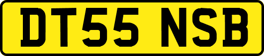 DT55NSB