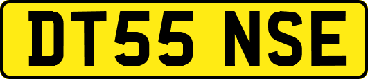 DT55NSE