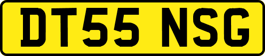 DT55NSG