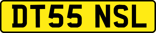 DT55NSL