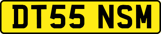 DT55NSM