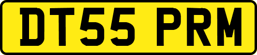 DT55PRM