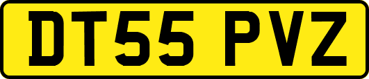 DT55PVZ