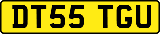 DT55TGU