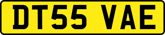 DT55VAE