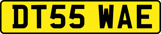 DT55WAE