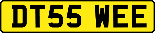 DT55WEE