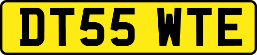 DT55WTE
