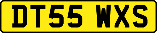 DT55WXS