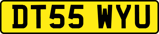 DT55WYU