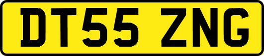 DT55ZNG