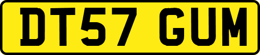 DT57GUM