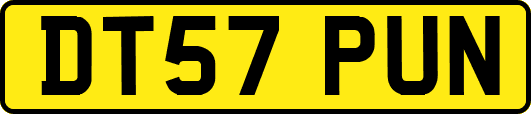 DT57PUN