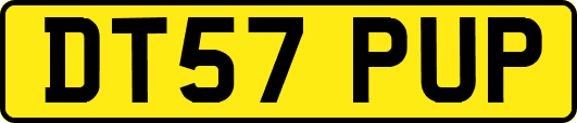 DT57PUP