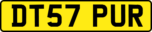 DT57PUR