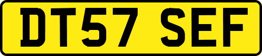 DT57SEF