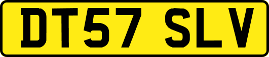 DT57SLV
