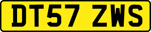 DT57ZWS