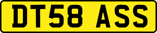 DT58ASS