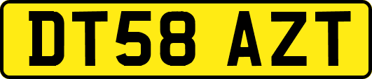 DT58AZT