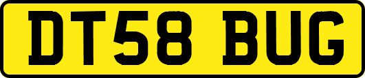DT58BUG