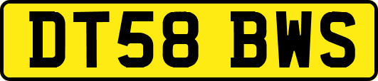 DT58BWS