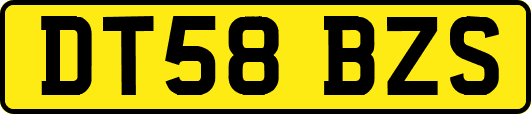 DT58BZS