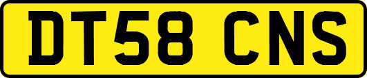 DT58CNS