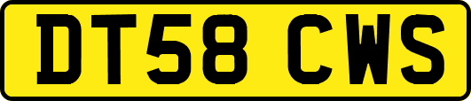 DT58CWS