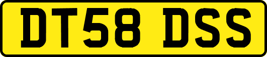 DT58DSS