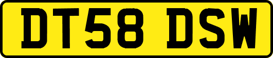 DT58DSW