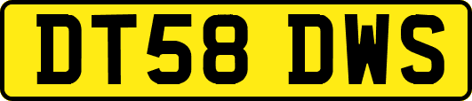 DT58DWS
