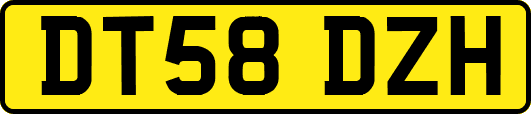 DT58DZH