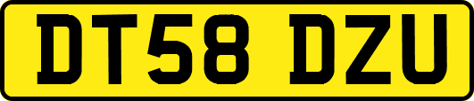 DT58DZU