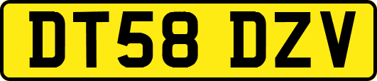 DT58DZV