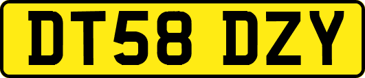 DT58DZY